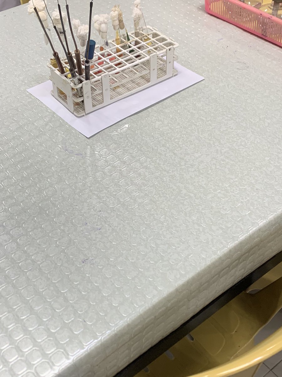 studyvuitton tweet picture