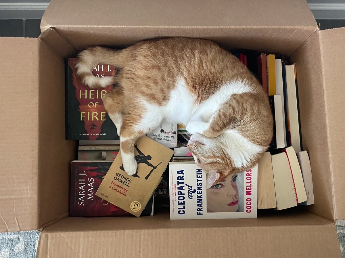 prtygal777's tweet photo. ummm not sure i ordered this…. https://t.co/ng0IRx3b4Y