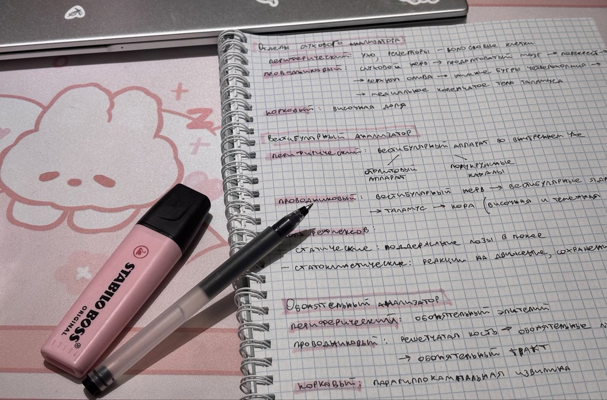 reneemm_'s tweet photo. just living my silly girly life  . ݁⋆ ۶ৎ ݁˖ . ݁ https://t.co/LQwKoRi8K6