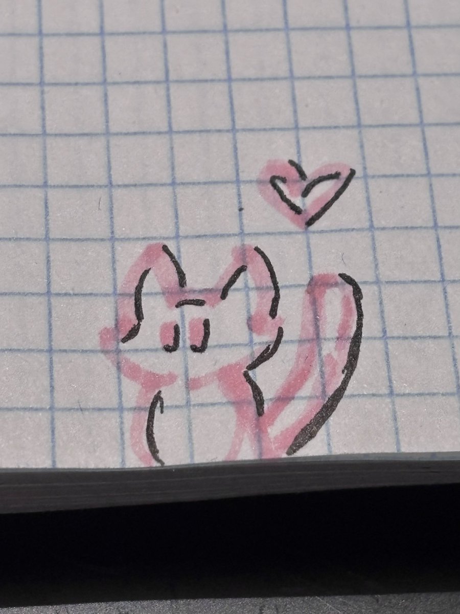 reneemm_'s tweet photo. just living my silly girly life  . ݁⋆ ۶ৎ ݁˖ . ݁ https://t.co/LQwKoRi8K6