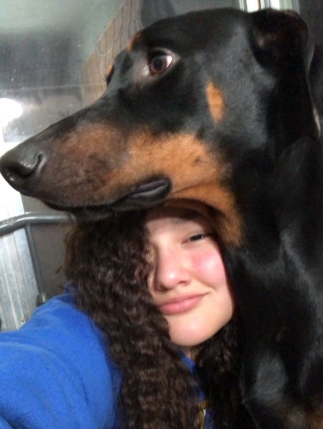 audreyrobertsa6's tweet photo. Moose https://t.co/DOpcgXdO7n