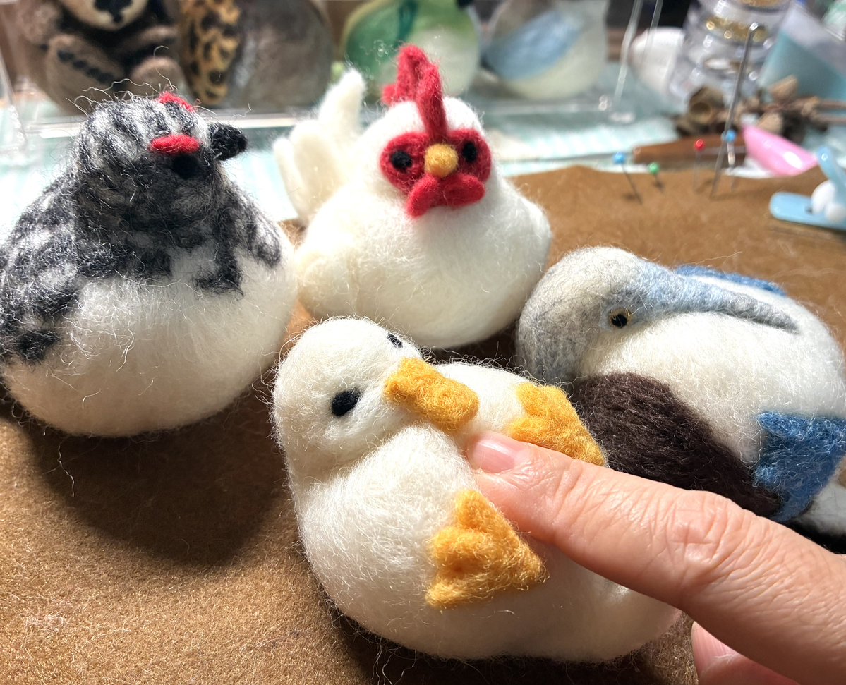 xjp9_hkz's tweet photo. 本日仲間入りのもち鳥
ライチョウ、ニワトリ、アヒル、アオアシカツオドリ https://t.co/B46OFMgrZF