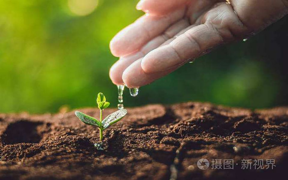 queennwei_5_af7's tweet photo. [Waiting for sincere efforts to moisten the arid land, hoping for a hopeful future.] https://t.co/qUgUDmkcgI