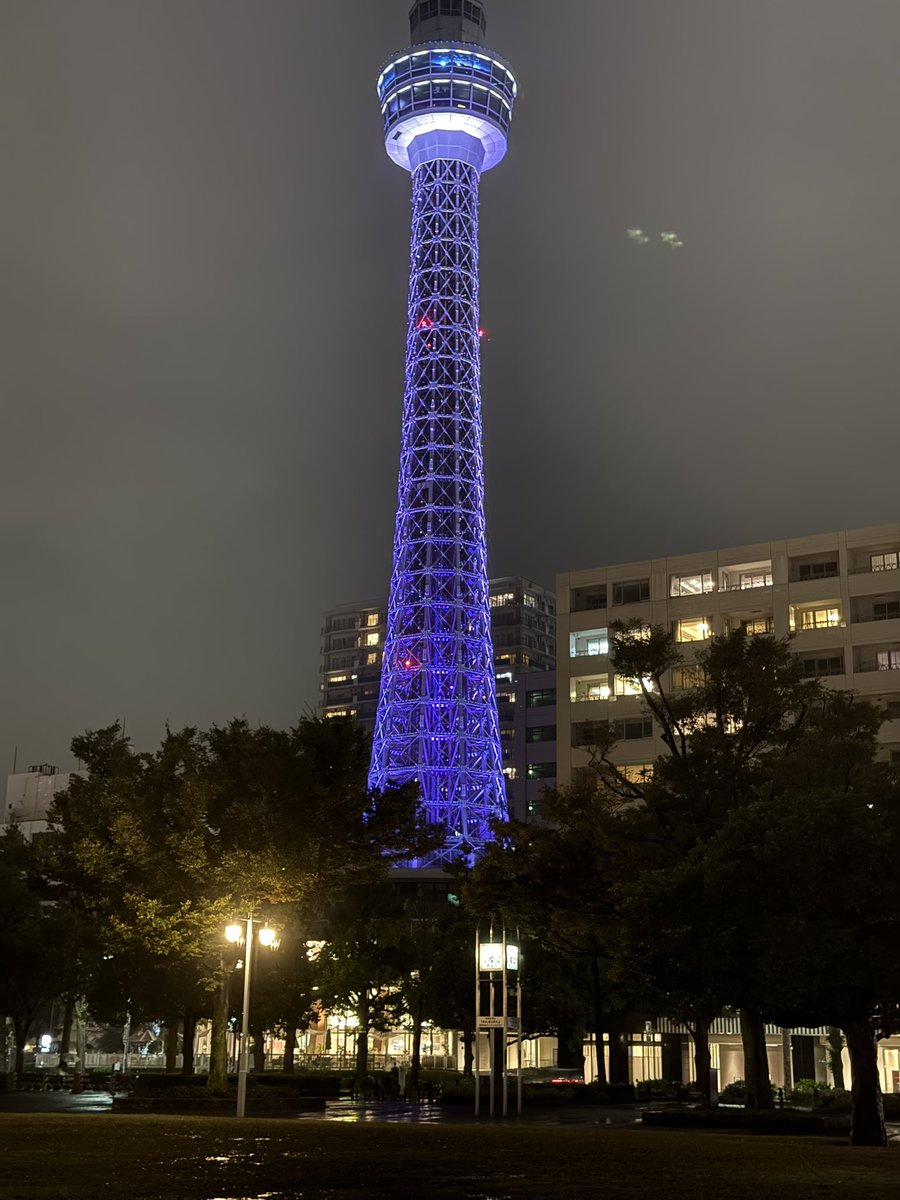Kc929GOD's tweet photo. 今年もハイアットリージェンシー横浜で岸くんのお誕生日をお祝い🥂
岸くん💜31歳のお誕生日おめでとう🎂🥳
ケーキ美味しい〜😋
#岸優太誕生祭2026
#Kc_HBDay
#YutaKishi https://t.co/6E4TDDCliO