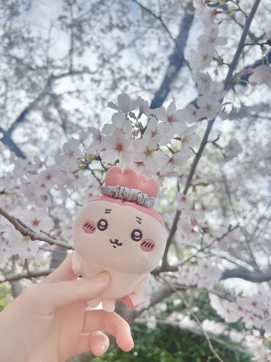 _miitan07's tweet photo. お顔が雑すぎて再販してほしいけど、買い直すには情が湧きすぎた https://t.co/hfBh3K3jXz