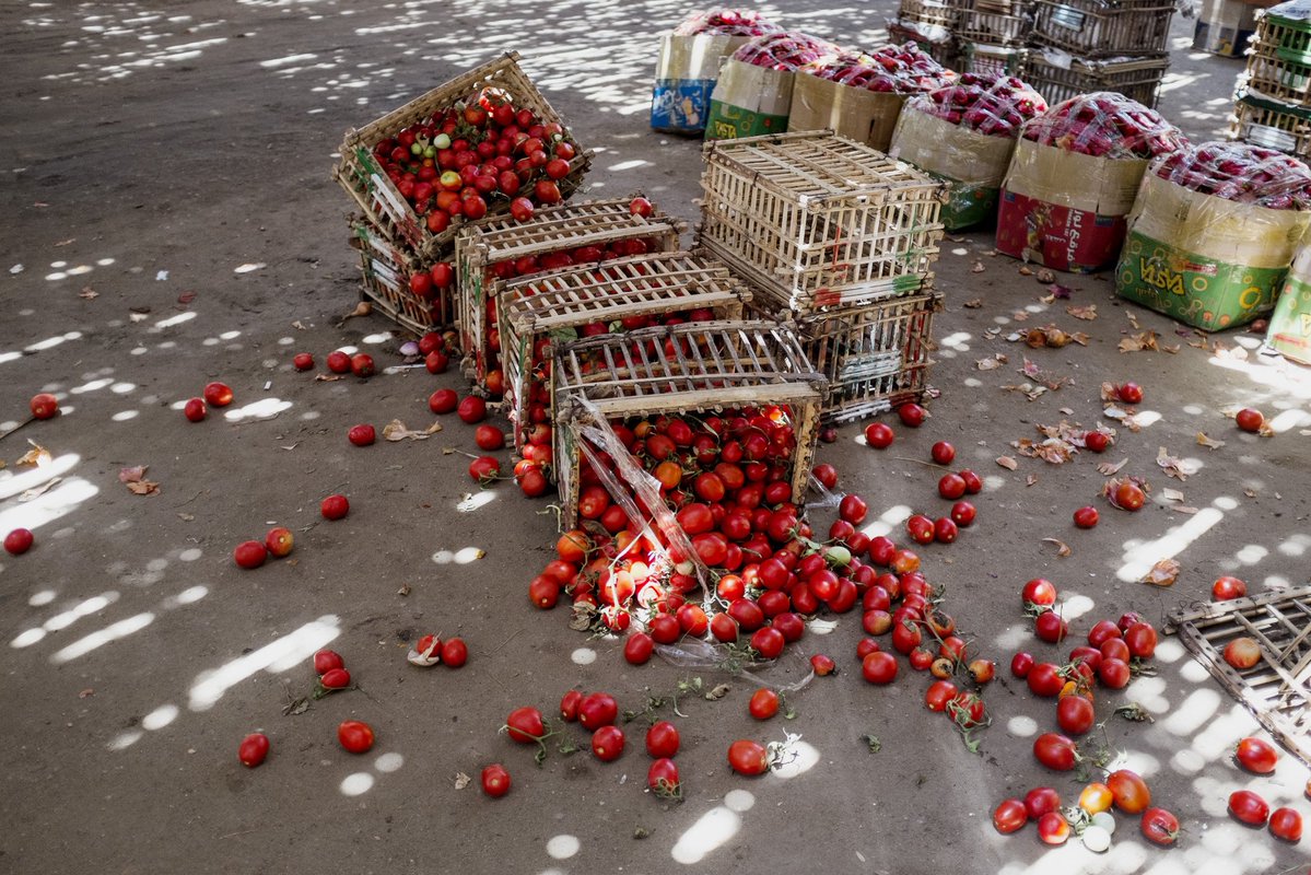 faoturkiye's tweet photo. 🍽️ Dünya genelinde tüketicilere ulaşan gıdanın yaklaşık %19’u israf ediliyor. Bu, yılda 1,05 milyar ton gıdaya karşılık geliyor.
Gıda kaybı ve israfının azaltılması; gıda güvenliğinin güçlendirilmesi, doğal kaynakların korunması ve iklim değişikliğiyle mücadele için atılabilecek en etkili adımlardan biridir.
Uluslararası Gıda Kaybı ve İsrafı Farkındalık Günü’nde, güvenilir ve besleyici gıdayı korumak için birlikte harekete geçelim.
#FLWDay #FoodLossAndWaste