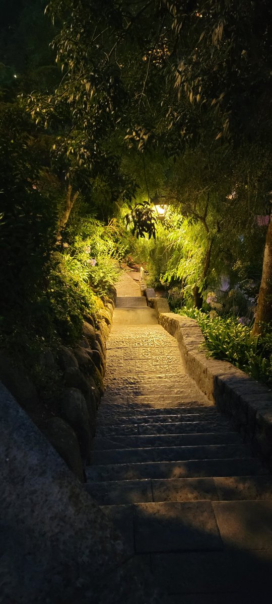 CritFailDM's tweet photo. Some recent pics I took for writing inspiration #dnd #dnd5e #dungeons #Pathfinder #p2e #TTRPG #horror #fantasy https://t.co/v1ctH7Pe9a