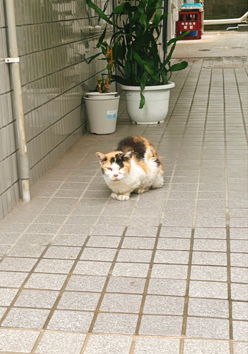 arjent_bar's tweet photo. ひまでつ。 https://t.co/4pGFHnTFxn