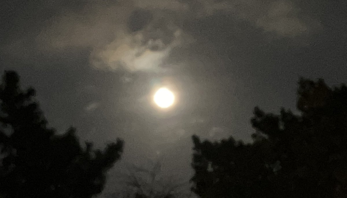chebmama's tweet photo. 三溪園の観月会で琵琶の演奏を聴きながら中秋の名月を楽しみました🌕 https://t.co/64MZTqOMTZ