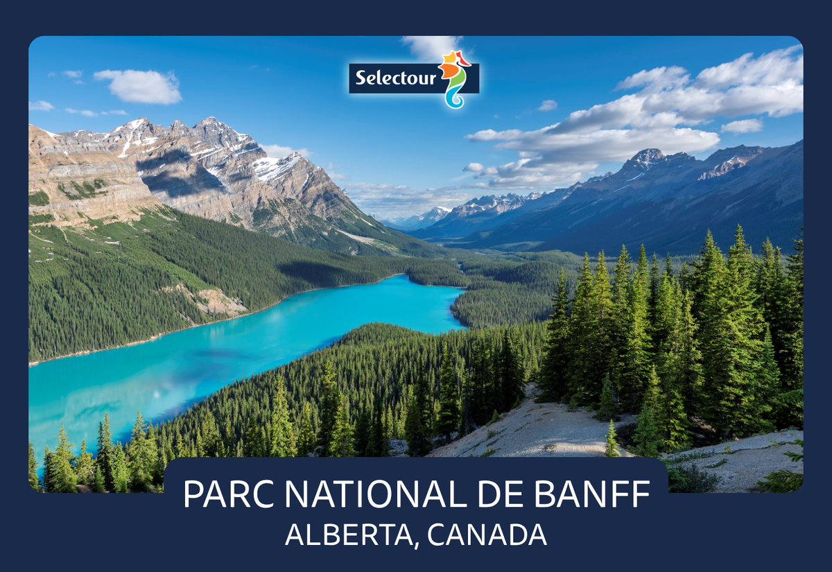Selectour's tweet photo. Banff est le plus ancien parc national du Canada.
Créé en 1885, il protège aujourd’hui des paysages spectaculaires entre montagnes Rocheuses, lacs turquoise et glaciers. ❄️

📍 Alberta, Canada

🇨🇦 Envie de découvrir les Rocheuses canadiennes ? 👉https://t.co/QJFOUvn3Zj https://t.co/X4CNxaQHJs