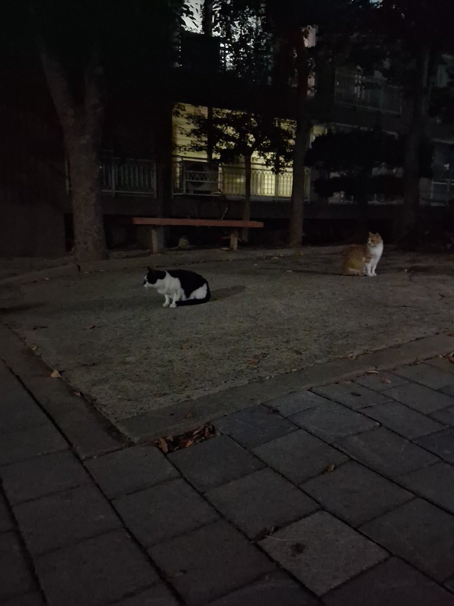 kukutti109's tweet photo. 동생이 만든 야루야루 치아바타 https://t.co/Dz8LmzC79M