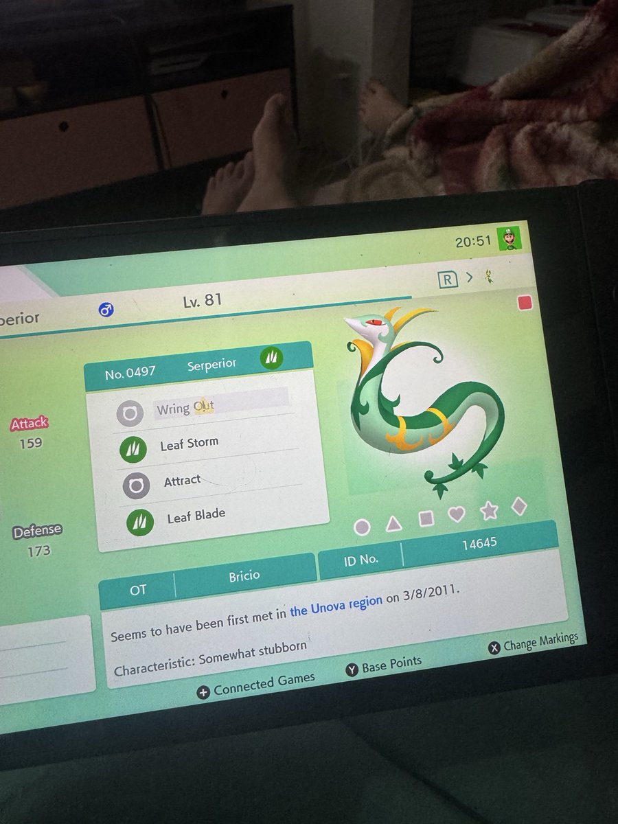 fabs9_'s tweet photo. pra mim a coisa mais mágica de pokemon sempre vai ser manter seus bichinhos olha meu serperior de quando eu joguei o white lá em 2011 no meu ds vivasso e em 3D coisa linda demais https://t.co/8StZxFLqHK