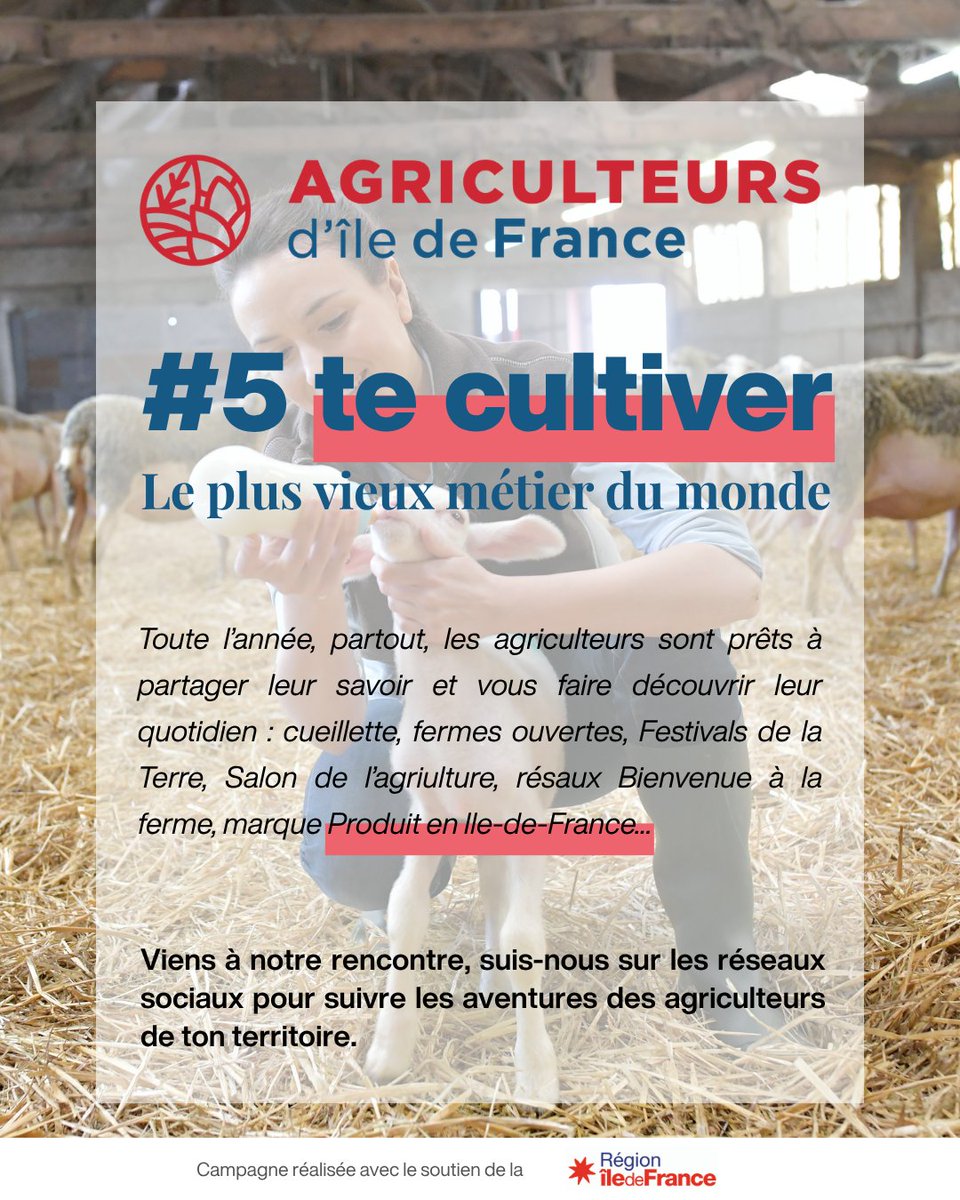 AgriculteursIDF's tweet photo. On a toujours besoin d’un agriculteur pour se cultiver ! 🐑🌾

Toute l’année, les agriculteurs franciliens ouvrent leurs portes pour partager leur métier, leurs savoir-faire et leur quotidien : fermes pédagogiques, cueillettes, événements via les réseaux bienvenue à la ferme ou @produitenIDF.

Partir à leur rencontre, c’est mieux comprendre ce qui se passe dans nos champs et dans nos fermes… tout près de chez nous. 💙

📅 Un nouveau visuel tous les deux jours : abonnez-vous pour ne rien manquer !

@iledefrance @CAIDF @Horizons_agri