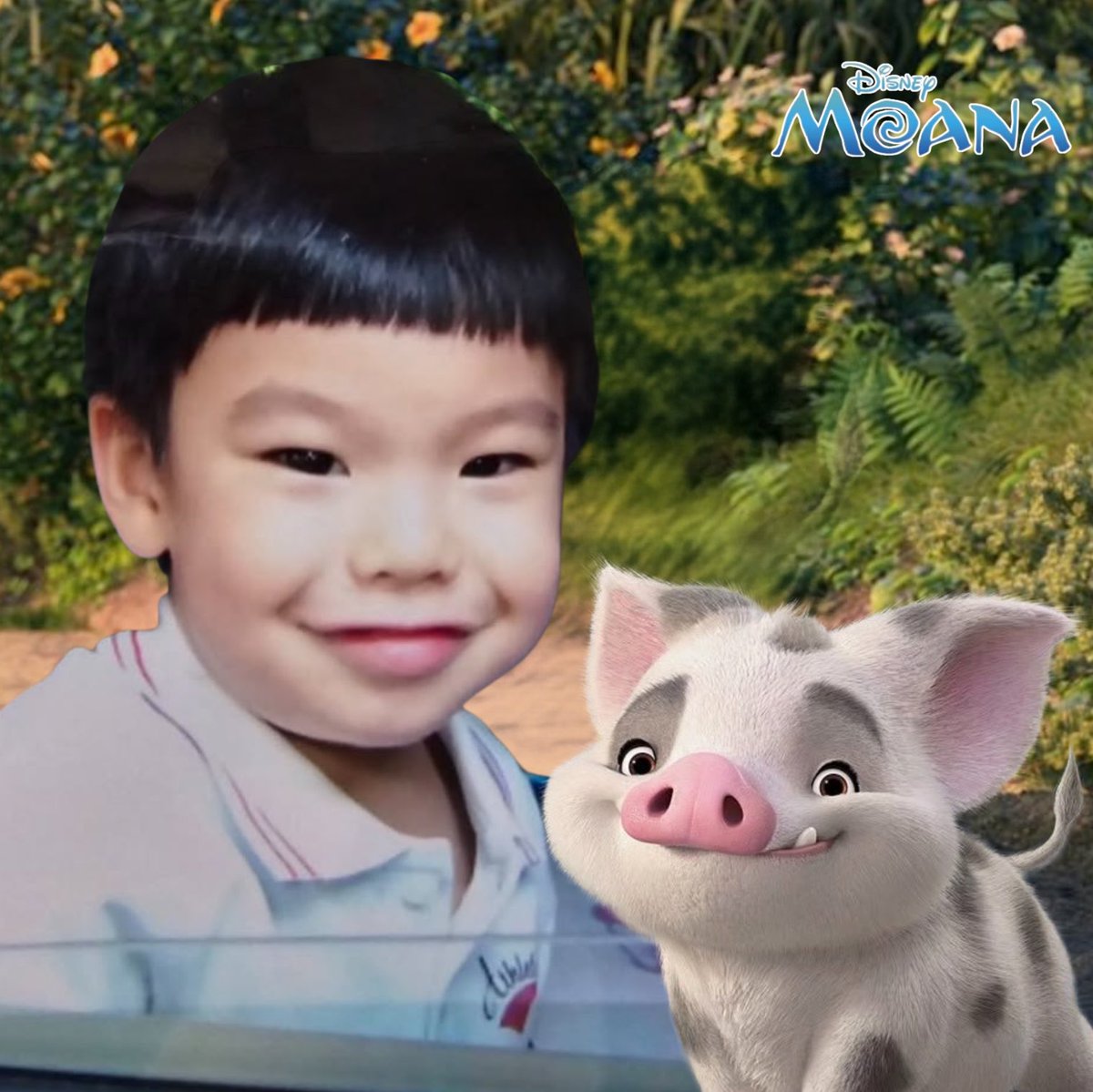 harufuffy's tweet photo. พัวพัว🐷                เฮย์เฮย์🐔 https://t.co/7gOCHXkCsD