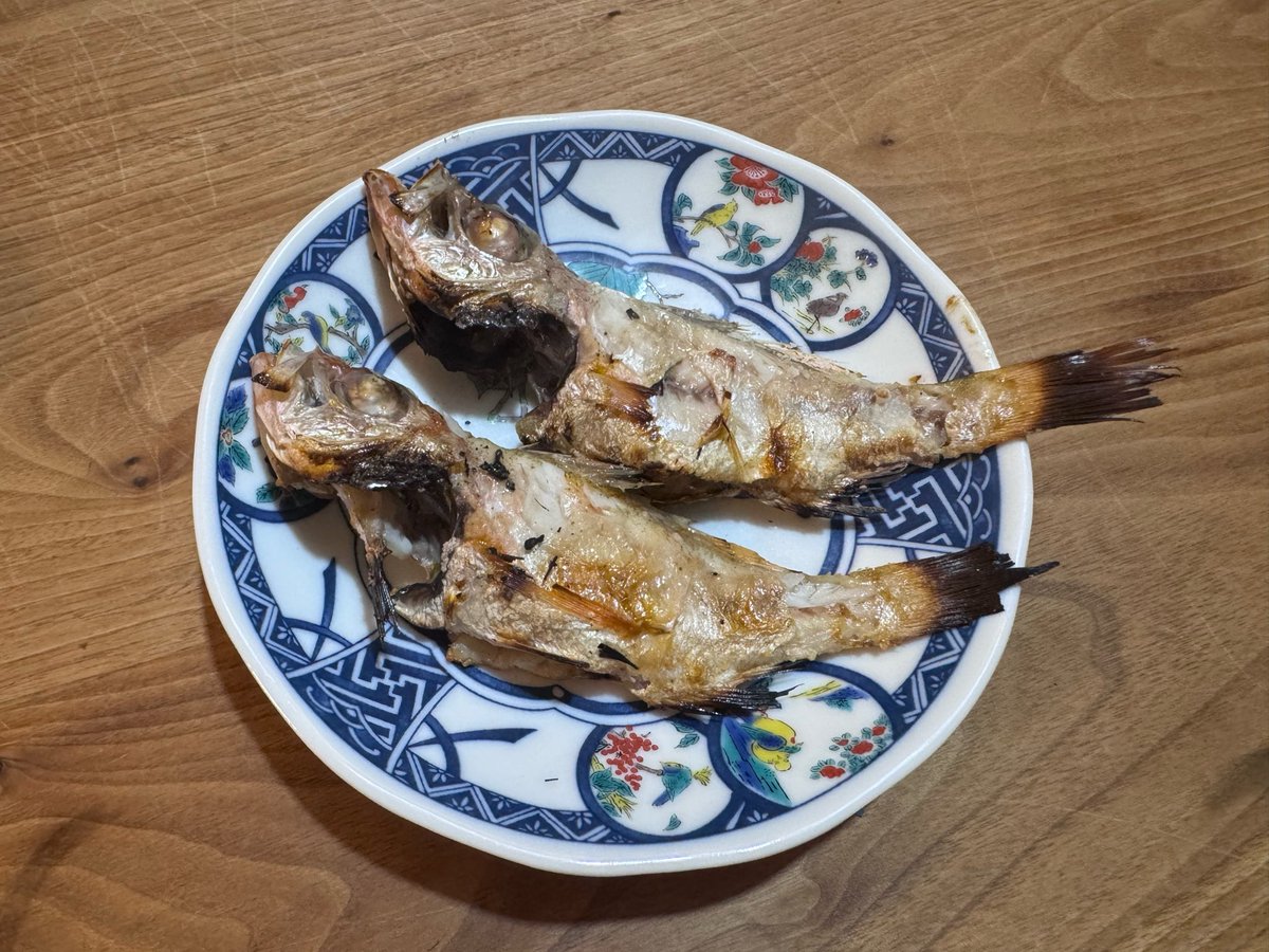 yoshimogi8's tweet photo. 夕飯は生姜焼き
アテはハガツオのタタキ
赤ムツの塩焼き

乾杯🍻 https://t.co/dJ6KlKPfw7
