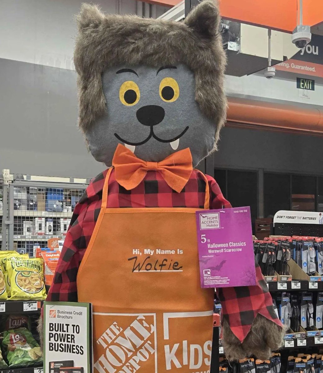 HeyoItsBeio's tweet photo. At work, we got these cute werewolf scarecrows. They put one up by the registers and gave it a mini work apron. One night I wrote pronouns under the name. I didn't see it for a while so I assumed they took the apron off or it sold.

Nope. They moved it and removed the pronouns. https://t.co/aqXKFeP4dS