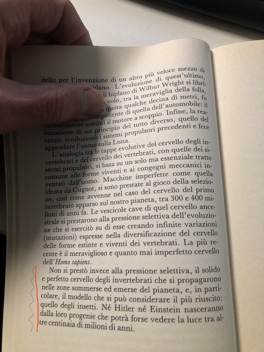eripetemorae's tweet photo. @gVallortigara E se amasse invece … l’imperfezione? https://t.co/yIdu4IKnP7