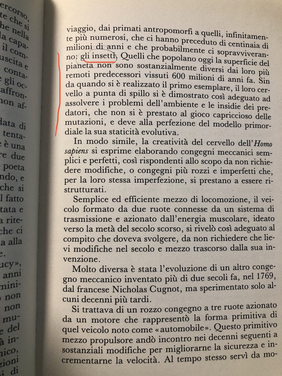 eripetemorae's tweet photo. @gVallortigara E se amasse invece … l’imperfezione? https://t.co/yIdu4IKnP7