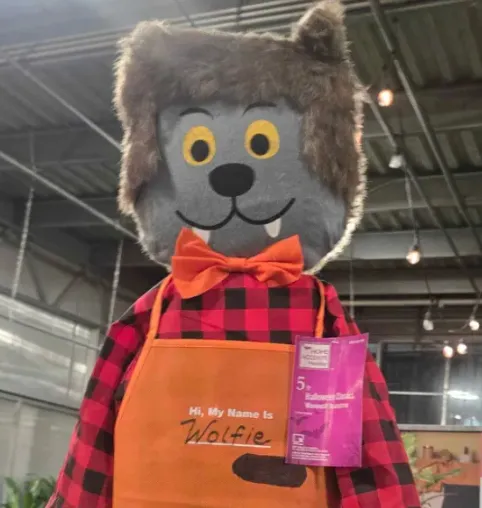 HeyoItsBeio's tweet photo. At work, we got these cute werewolf scarecrows. They put one up by the registers and gave it a mini work apron. One night I wrote pronouns under the name. I didn't see it for a while so I assumed they took the apron off or it sold.

Nope. They moved it and removed the pronouns. https://t.co/aqXKFeP4dS