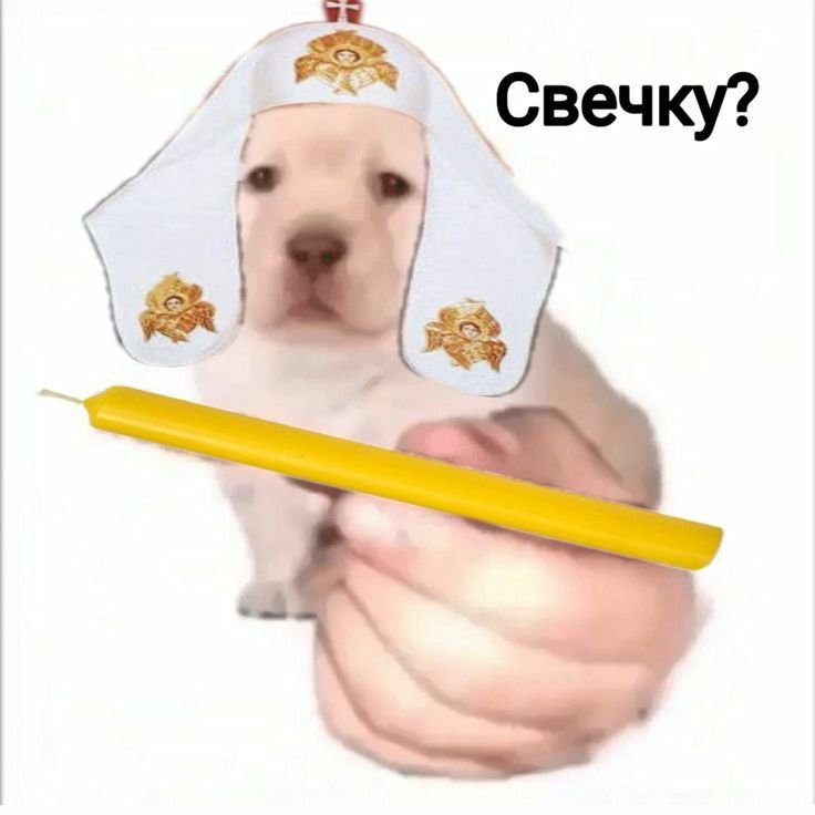 PivozaurusSama's tweet photo. @bad_goy_x @egyptian_yousif Покайся во грехах своих https://t.co/Y1qlIquq3s