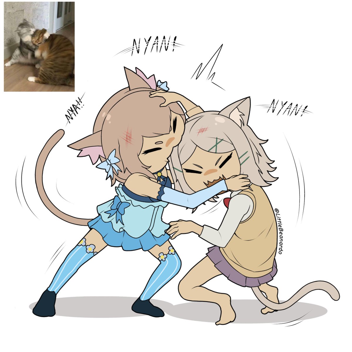 LittleBeanardo's tweet photo. Cat fight!
Felix argyle vs Shunran nishi https://t.co/fvm6hP5Cw1