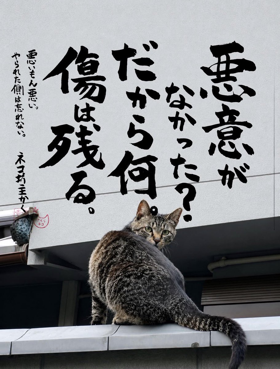 AyamaruT's tweet photo. @I9wN82 https://t.co/YVOo03bSsw