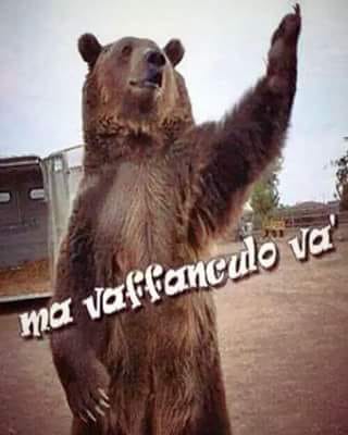 GabrielPontello's tweet photo. @Jonesoniano https://t.co/Du44jFNNXI
