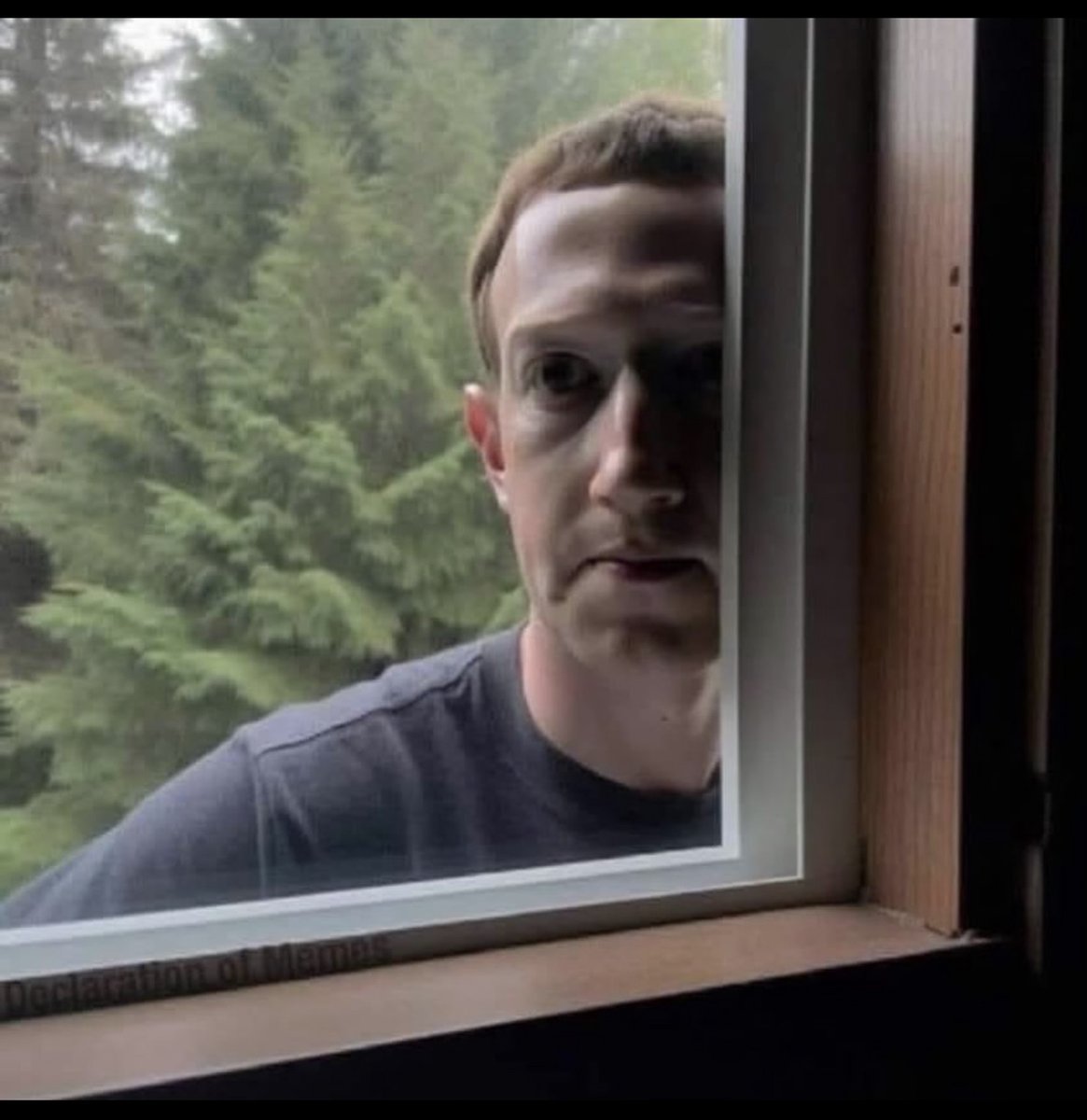 un4uthorizedx's tweet photo. The proxy knows where you're going. It just won't let you get there.

#Memecoin #Crypto #Tech #AI #Privacy https://t.co/Bodl2A18fy
