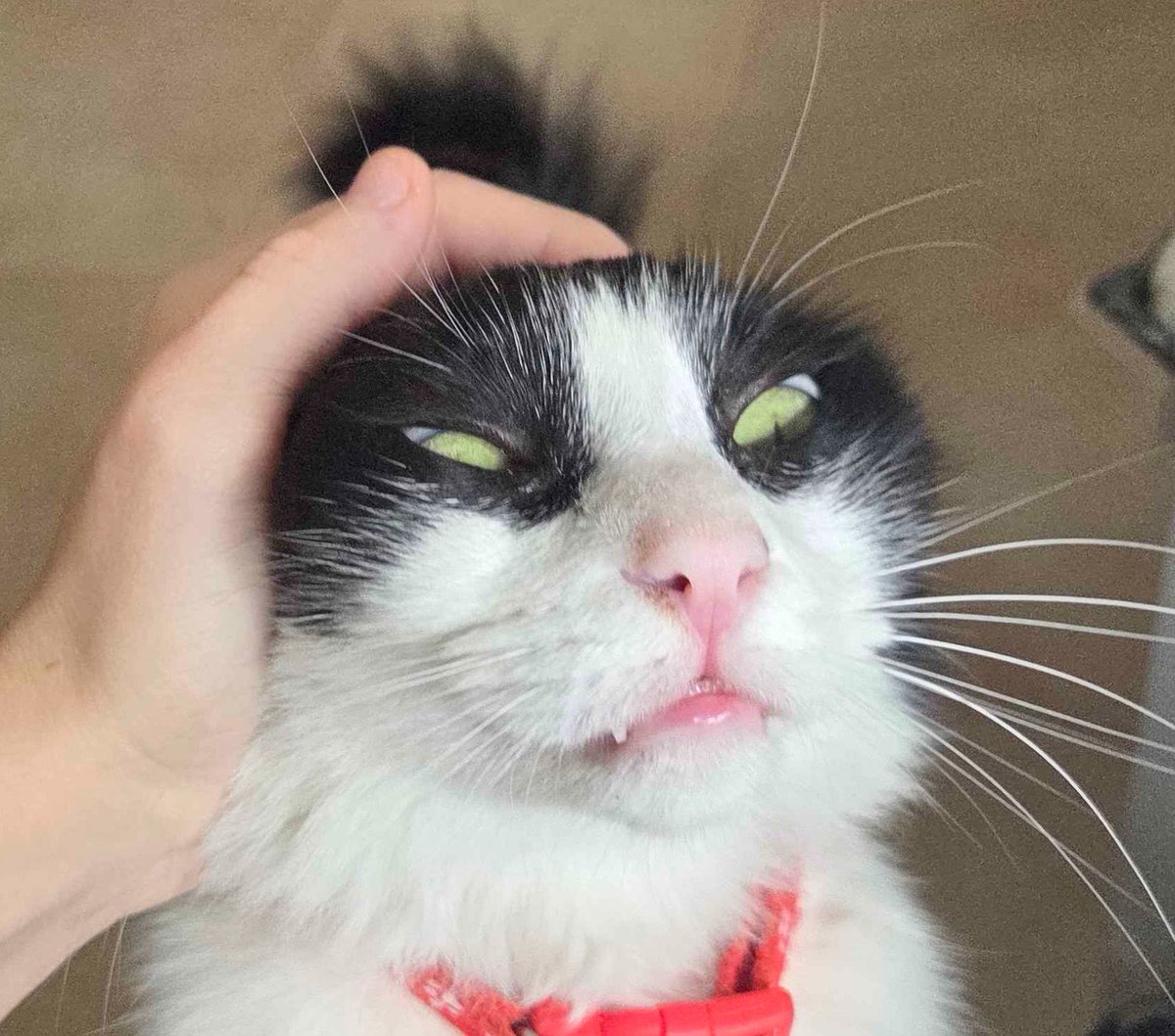 Momano4eva's tweet photo. Is masya possessed? #yesoryes https://t.co/RzdbV6wjrS