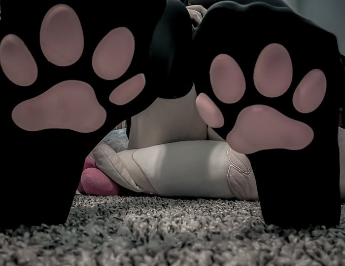 Ami8opp's tweet photo. #feet #pawsock #girl do you like this? https://t.co/MFdFqJompm