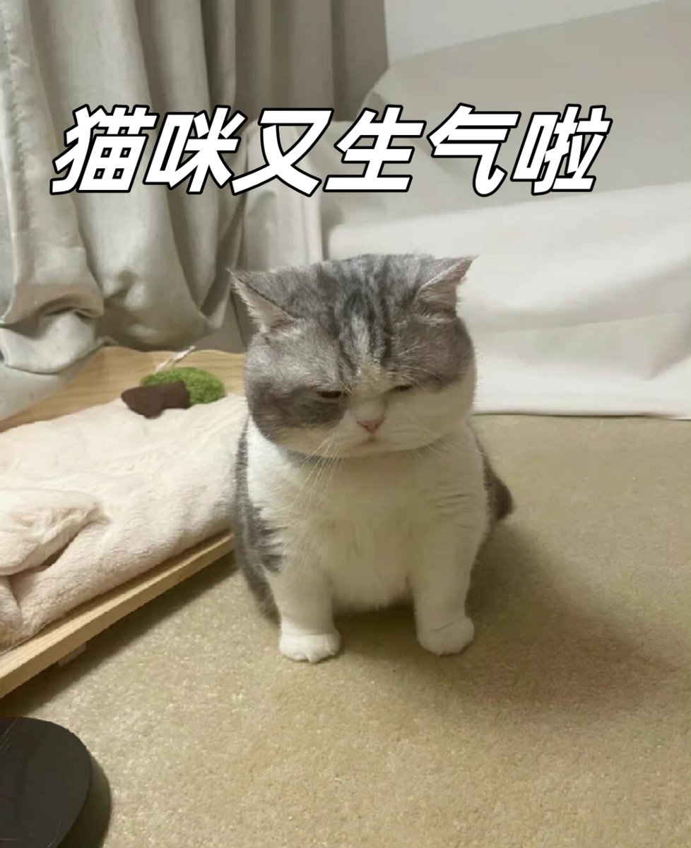 d_inacol_91_a17's tweet photo. Yong, a cunning cat, plays teasingly while stealthily sneaking a treat. https://t.co/6VTrl6Km6k