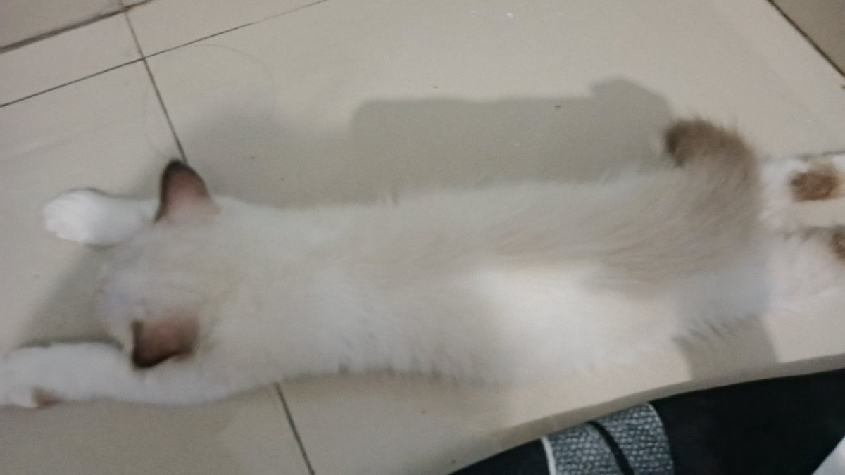 potatought's tweet photo. my anak https://t.co/jFMJaD6Vx4