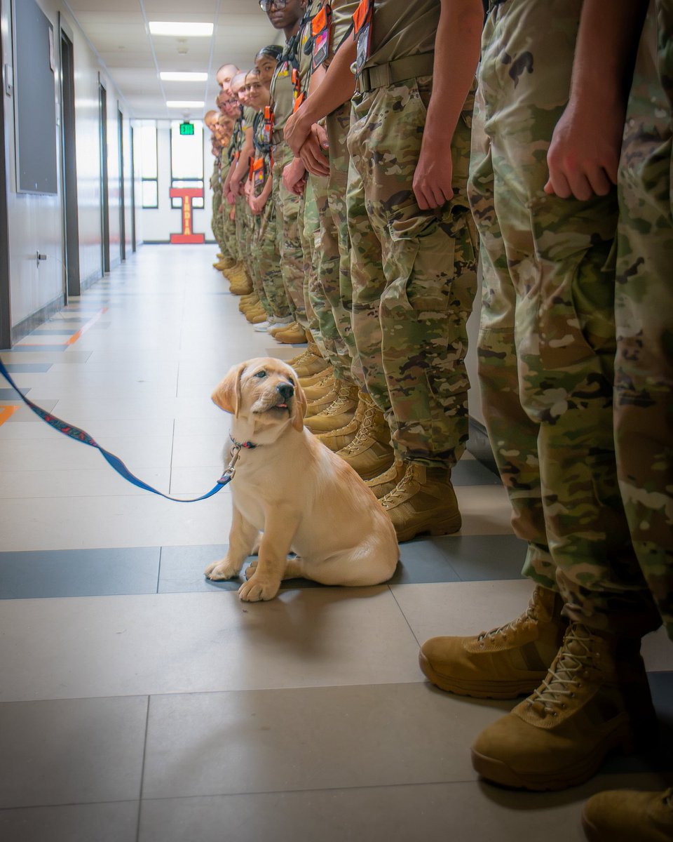 VTCorpsofCadets's tweet photo. Meet the newest member of the Corps 🐾

Introducing Growley IV, call sign Bedford. Named in honor of the Bedford Boys, Bedford's name carries forward a legacy of courage, service, and unwavering loyalty. https://t.co/2Z3SQNqiYS
