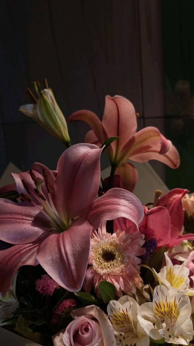 dreamyflowerrs's tweet photo. lily 🩷 https://t.co/imWuwTcmmB