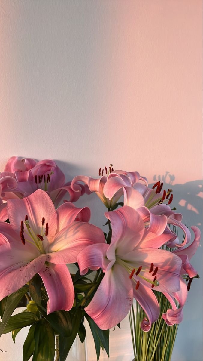 dreamyflowerrs's tweet photo. lily 🩷 https://t.co/imWuwTcmmB