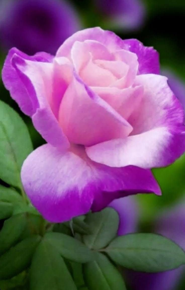 son_ikey's tweet photo. #بدايـــــــــــــــہ https://t.co/YUKrIg7hXE