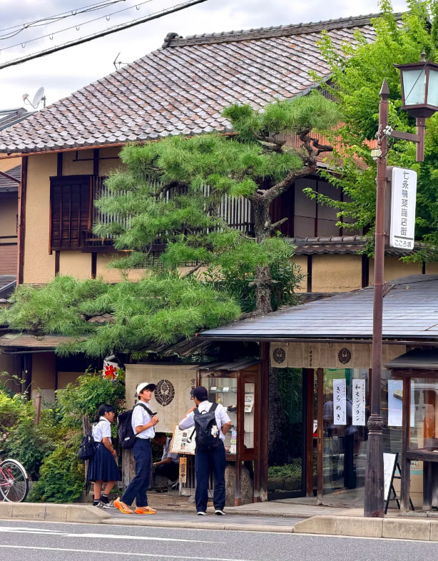 Yoshiko998's tweet photo. 京都に来たのが何回目か覚えていませんが
七条に泊まるのは今回で二度目です
以前はいつもにぎやかな四条か京都駅周辺に宿を取っていました
初めて七条を選んでから、放課後の穏やかな雰囲気👩‍🎓に惹かれ、今回の京都旅行も七条に宿を取りました。とても静かな京都ステイケーションを過ごせました https://t.co/tiEJ7Za45f