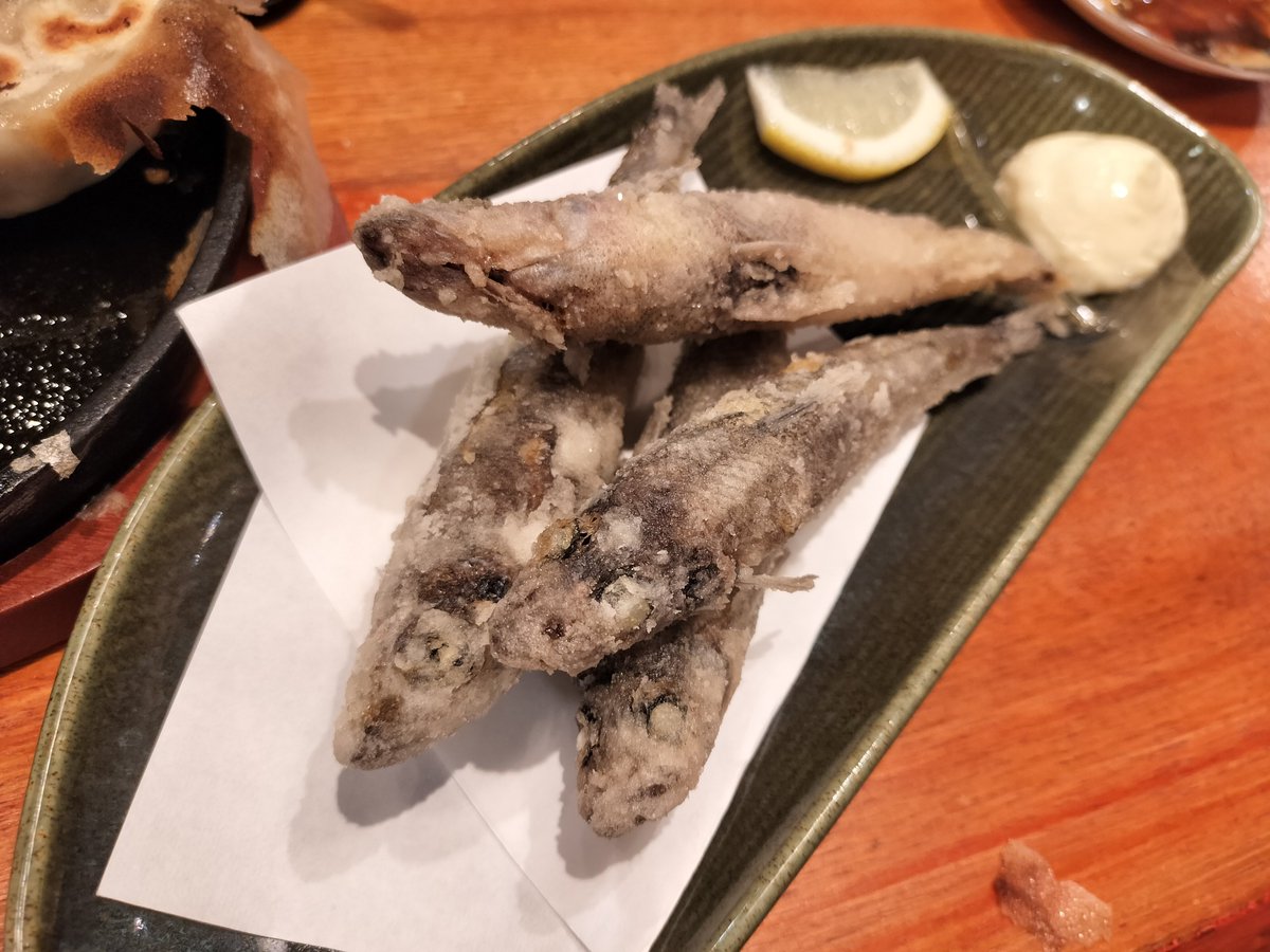 R_1255's tweet photo. ⁡お目当てのお店空いてるはずだったのに空いてなくて残念だったけど、急遽行ったお店のお料理どれもおいしかった🤤⁡ https://t.co/S1uDS18Lws