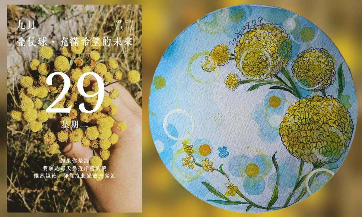 adder915a's tweet photo. 今日花語曆
2026年09月29日
🟡【金杖球】🟡（Craspedia globosa，英文常稱 Billy Buttons 或 Woollyheads），是菊科金杖菊屬的多年生草本植物，外觀就像一根根精緻的金杖或鼓棒。
💐​花語意涵：代表「永恆的愛」、「圓滿」、「亮麗」與「堅定的心」。
#2026年花語日曆
https://t.co/kCUPasb1bY https://t.co/AEGmAVaNhW