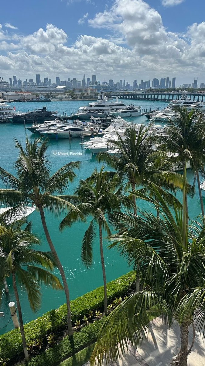 echoesofworld's tweet photo. Miami https://t.co/UgSjfFgfXJ