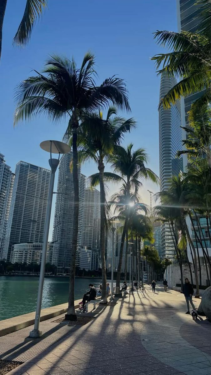 echoesofworld's tweet photo. Miami https://t.co/UgSjfFgfXJ