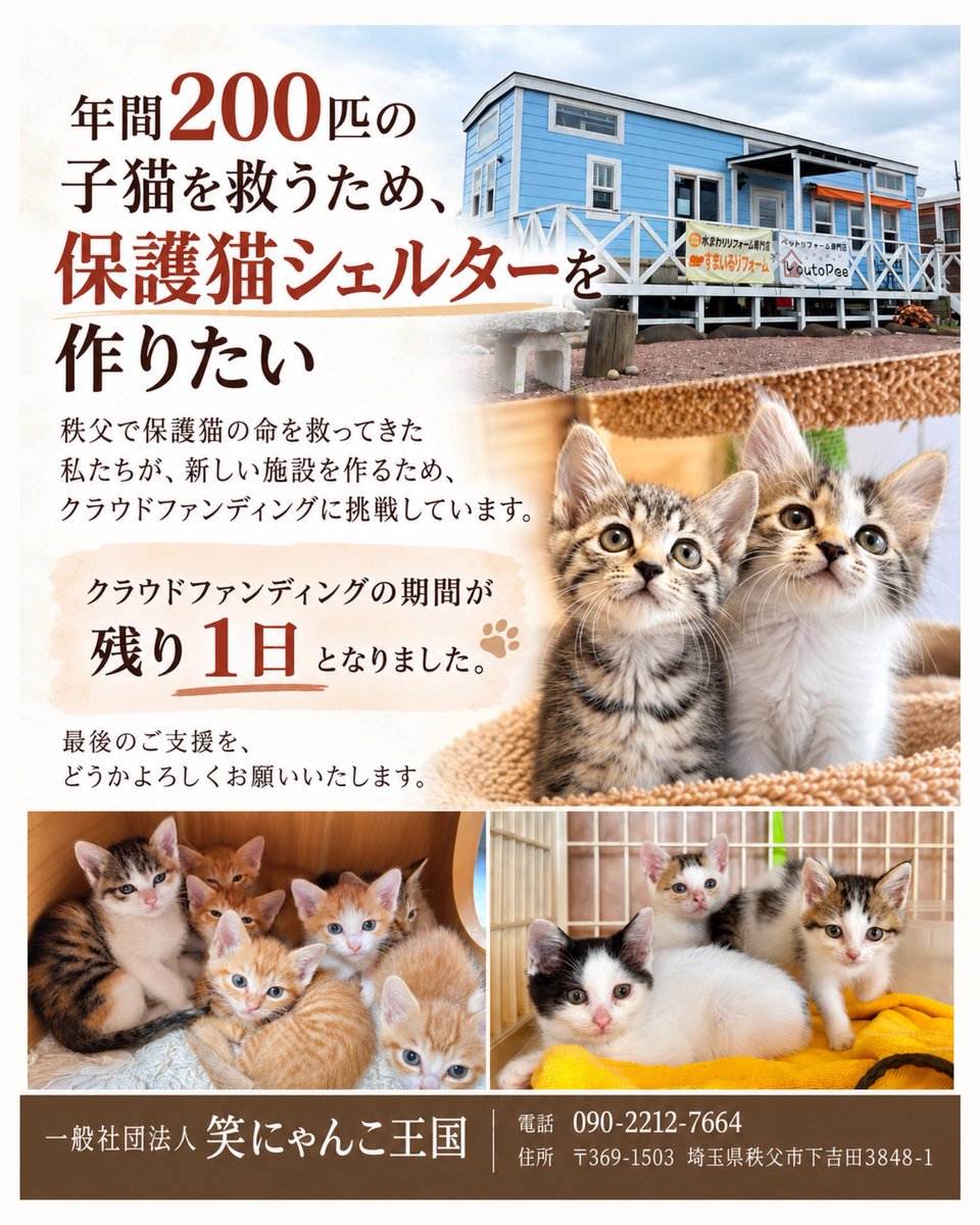 niconyanko2017's tweet photo. .

ここまで応援してくださった皆さま、
本当にありがとうございます。
子猫たちの新しい居場所を作るための挑戦も、
残りわずかとなりました。

最後のお願いです。
どうか子猫たちの未来のために、
お力を貸してください。

ご支援・拡散、よろしくお願いいたします🙇🏻‍♀️

https://t.co/LBklakkhNy

. https://t.co/qbTg0cSvoQ