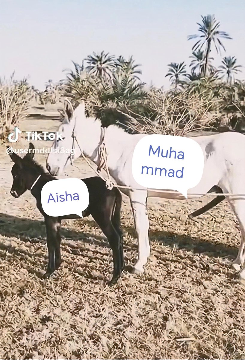 AllaMustafa6's tweet photo. @sin_62s محمد وعائشه 😂😂 https://t.co/9WvMtXAgGM