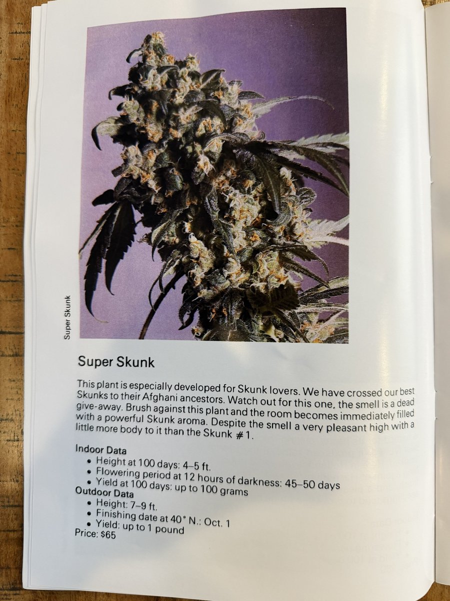 roboboi11's tweet photo. Found the sour everyone is looking for 🤣🤣🤣

1990 seedbank catalog entry for super skunk https://t.co/6UHD4ytiti