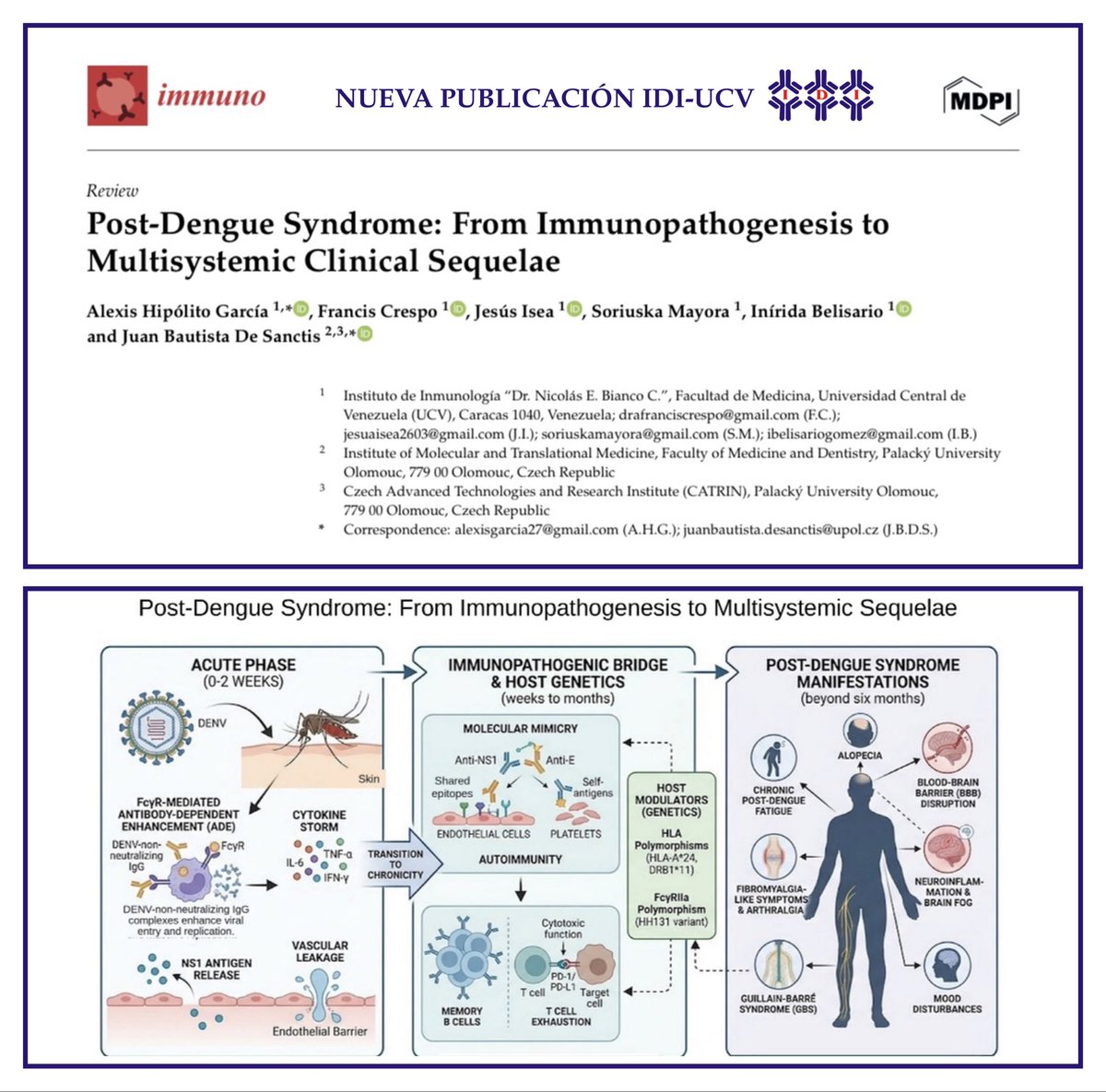 IdiUcv's tweet photo. Nueva publicación del IDI-UCV.
Síndrome posdengue: de la inmunopatogenia a las secuelas clínicas multisistémicas,
https://t.co/3fcmyPaY0t https://t.co/BBHykWj3Lh