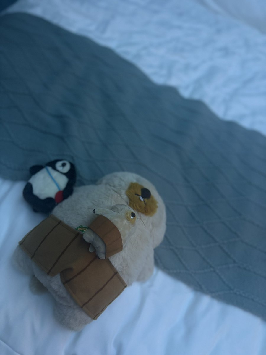 bobannu_77's tweet photo. 伊豆グランピングでしたアーーー‼️
きれいだなァーーーって言ってるのかな

#マーモットのもっとっと
#マーモットのもっとっと広場 https://t.co/I6mfdGI8Im