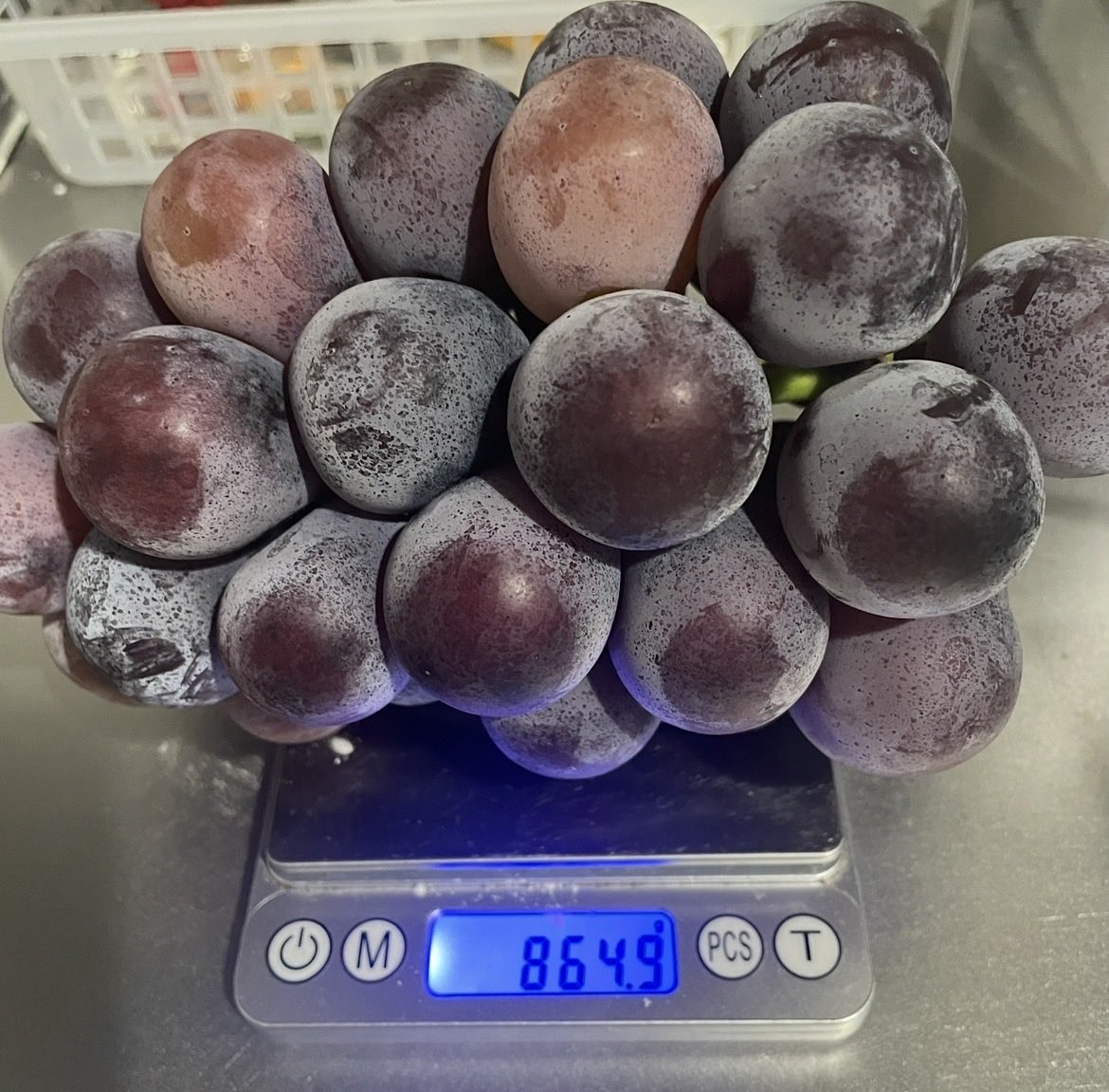 kietatan's tweet photo. 大黒天物産 (2791)の大粒ピオーネ！
甘くてめっちゃ美味しいぃ🍇
864gは結構大きめ？？

みんな何gなんだろう🤔
#優待　#株主優待 https://t.co/PWKT2Q8UmG