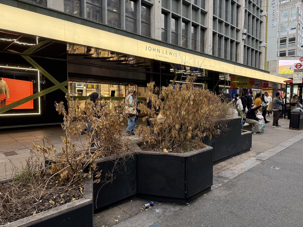 VoteTimBarnes's tweet photo. We have had a lot of questions about why the plants on #OxfordStreet have been allowed to die.

Taking care of them, mostly ensuring they are watered, was the job of @CityWestminster until a year ago.

It was handed over to the Mayor's teams in line with other responsibilities.

But they didn't have a contract with anyone to take care of the plants and didn't do it themselves, so they have all been allowed to die.

In the grand scheme of things, it's a small issue. But it's a very visible example of how not being ready can lead to things going wrong.

Managing a space like #OxfordStreet requires hundreds of things to be provided for - from plant watering to street cleaning.

If we are going to pedestrianise it, let's take the time to get it right. At the moment it's just being rushed. Am all for deadlines to get things to happen but false ones can lead to unnecessary problems and things going wrong.

Like dead plants.

@FitzWestForum @MaryleboneAssoc @mayfairforum @sohosocietyw1 @westminstertory