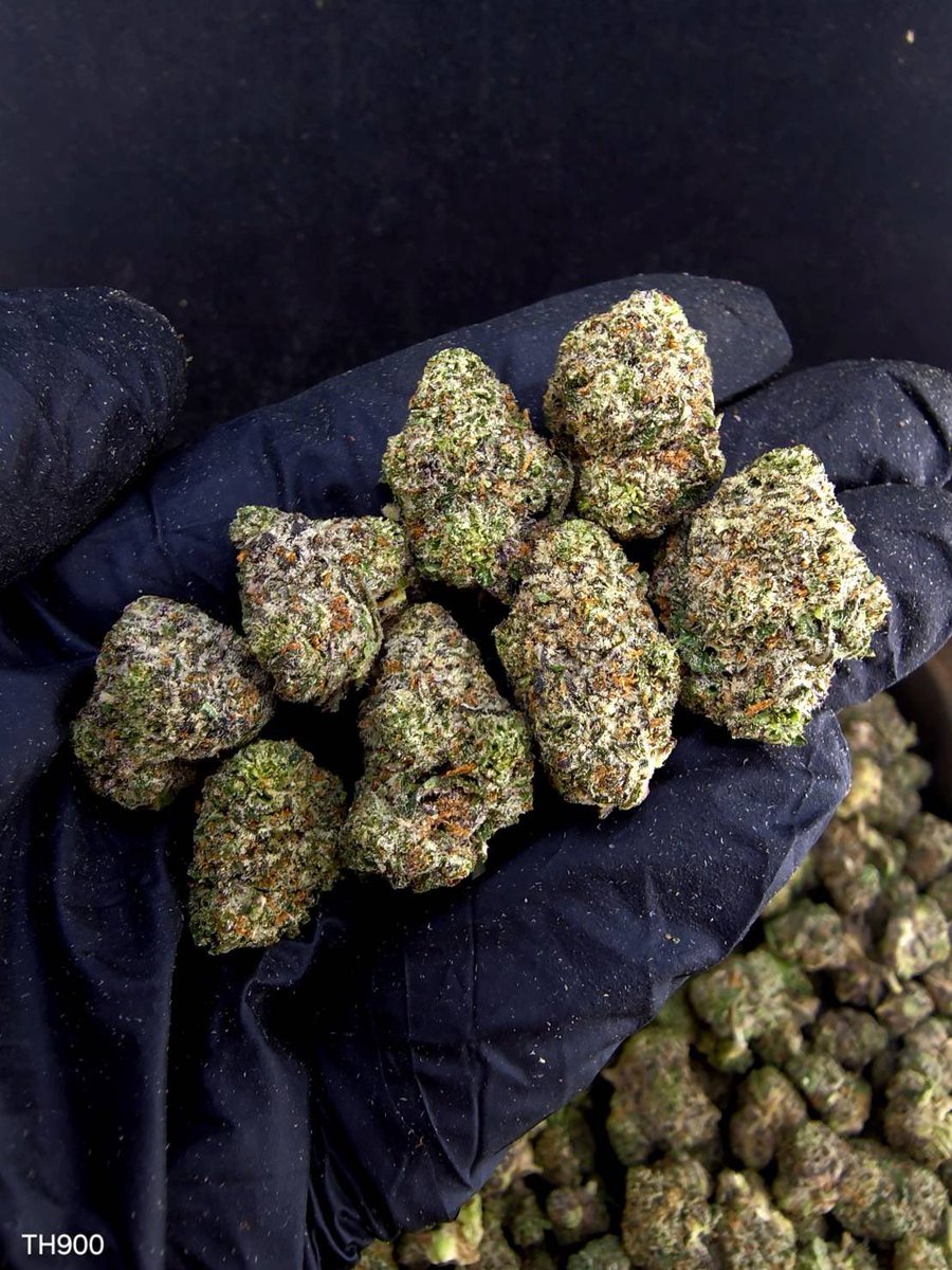 valetag4's tweet photo. ☃️【 💡 Indoor • มหาชัย 🌳 】🇹🇭
🍿Size Pop M ❄️ ✨

🔸 Pop Double Up 🎰⛽️
🔸 Indica70% 🔸THC36%

Aroma🔺 Gas ⛽ Fruit 🍎 Diesel 🛢️

💸100G = 1,400฿ , 1KG = 9,500฿💸

🛍️สนใจสินค้า @Line 
ทักแชท ตามสั่งได้เลยครับ🔻
Line ID (.) ▶️ 0924153858.
https://t.co/wW1z2epETi

#weed #og https://t.co/ygpgqah0o7