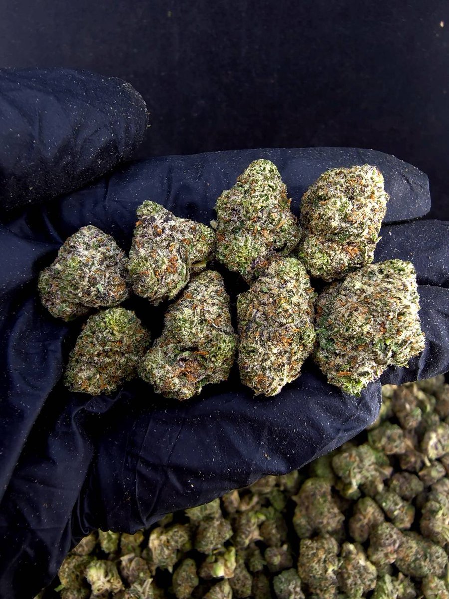 valetag4's tweet photo. ☃️【 💡 Indoor • มหาชัย 🌳 】🇹🇭
🍿Size Pop M ❄️ ✨

🔸 Pop Double Up 🎰⛽️
🔸 Indica70% 🔸THC36%

Aroma🔺 Gas ⛽ Fruit 🍎 Diesel 🛢️

💸100G = 1,400฿ , 1KG = 9,500฿💸

🛍️สนใจสินค้า @Line 
ทักแชท ตามสั่งได้เลยครับ🔻
Line ID (.) ▶️ 0924153858.
https://t.co/wW1z2epETi

#weed #og https://t.co/ygpgqah0o7